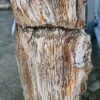 Grafsteen versteend hout 58041