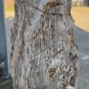 Grafsteen versteend hout 58041