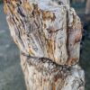 Grafsteen versteend hout 58041