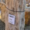 Grafsteen versteend hout 58047