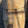 Grafsteen versteend hout 58047