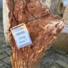Grafsteen versteend hout 58048