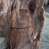 Grafsteen versteend hout 58048