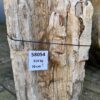 Grafsteen versteend hout 58054
