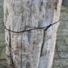 Grafsteen versteend hout 58054