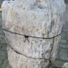 Grafsteen versteend hout 58054
