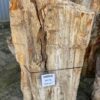 Grafsteen versteend hout 58056