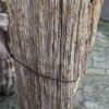 Grafsteen versteend hout 58056