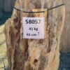 Grafsteen versteend hout 58057