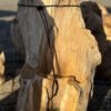 Grafsteen versteend hout 58057