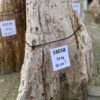 Grafsteen versteend hout 58058