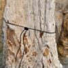 Grafsteen versteend hout 58058