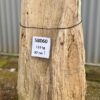 Grafsteen versteend hout 58060
