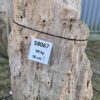 Grafsteen versteend hout 58067
