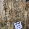 Grafsteen versteend hout 58068