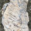 Grafsteen versteend hout 58068