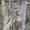 Grafsteen versteend hout 58070