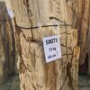 Grafsteen versteend hout 58073