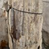 Grafsteen versteend hout 58075