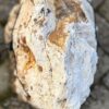 Grafsteen versteend hout 58077