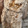 Grafsteen versteend hout 58077