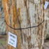 Grafsteen versteend hout 58083