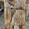 Grafsteen versteend hout 58083