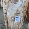 Grafsteen versteend hout 58086