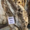 Grafsteen versteend hout 58094