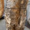 Grafsteen versteend hout 58094
