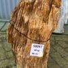 Grafsteen versteend hout 58097