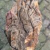 Grafsteen versteend hout 58097