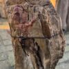 Grafsteen versteend hout 58097