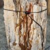 Grafsteen versteend hout 58099