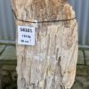 Grafsteen versteend hout 58101