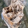 Grafsteen versteend hout 58101