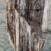 Grafsteen versteend hout 58101
