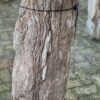 Grafsteen versteend hout 58102