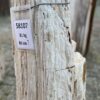 Grafsteen versteend hout 58107