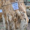 Grafsteen versteend hout 58108