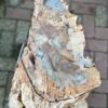 Grafsteen versteend hout 58108