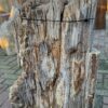 Grafsteen versteend hout 58108