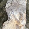 Grafsteen versteend hout 58109