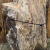Grafsteen versteend hout 58109