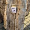 Grafsteen versteend hout 58110