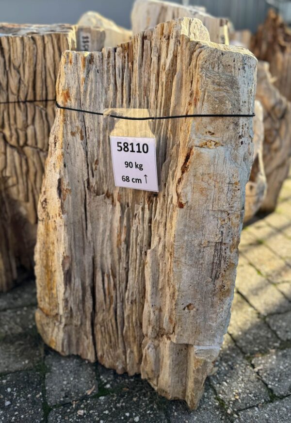Grafsteen versteend hout 58110
