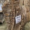 Grafsteen versteend hout 58112