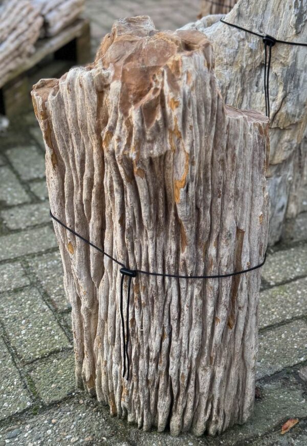 Grafsteen versteend hout 58118
