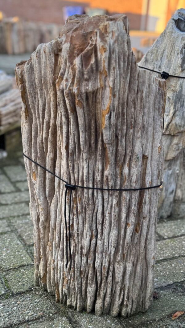 Grafsteen versteend hout 58118