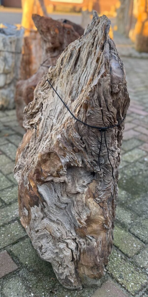 Grafsteen versteend hout 58119